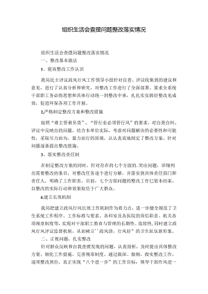 组织生活会查摆问题整改落实情况.docx