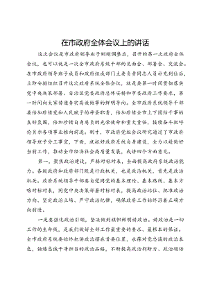 在市政府全体会议上的讲话.docx
