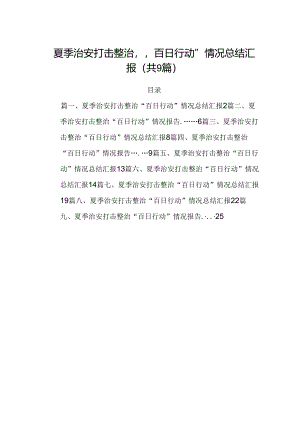 夏季治安打击整治“百日行动”情况总结汇报【九篇精选】供参考.docx