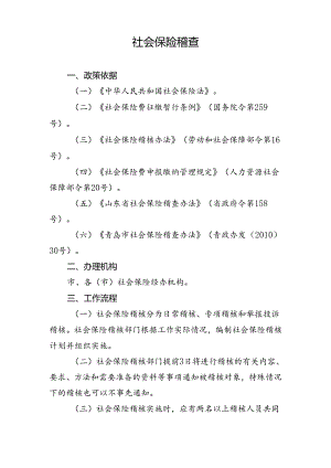 社会保险支付稽核业务说明书.docx