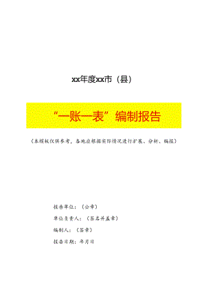 “一账一表“编制报告模板.docx