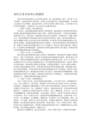 初任公务员培训心得感悟.docx