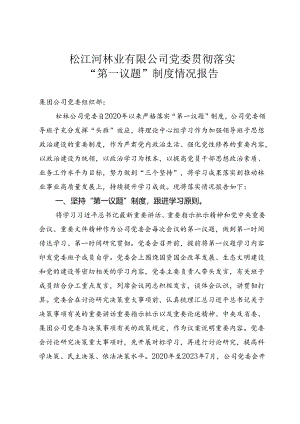 企业有限公司党委“第一议题”制度落实情况自查自纠报告报告.docx