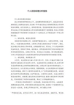 个人项目经理分析报告.docx