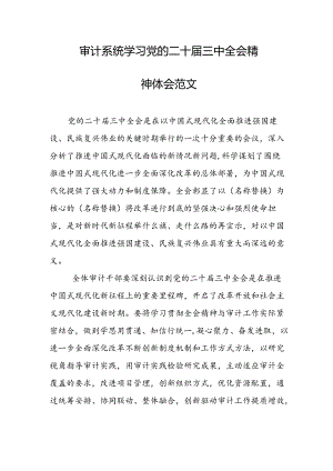 审计系统学习党的二十届三中全会精神体会.docx