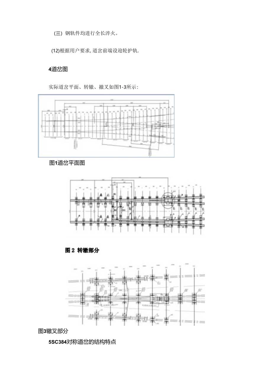 SC384对称道岔结构及病害整治分析.docx_第3页