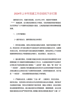 2024年上半年党建工作总结和下步打算.docx