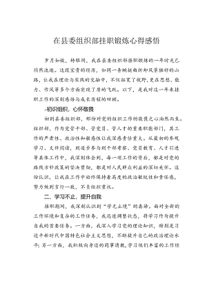 在县委组织部挂职锻炼心得感悟.docx