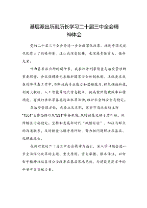 基层派出所副所长学习二十届三中全会精神体会.docx