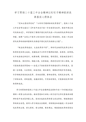 学习贯彻二十届三中全会精神以钉钉子精神抓好改革落实心得体会.docx