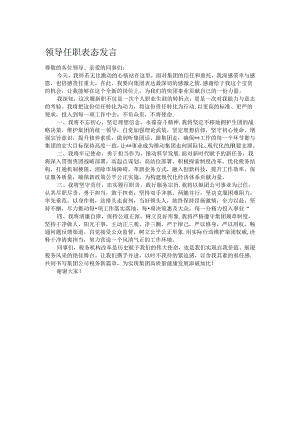 领导任职表态发言.docx