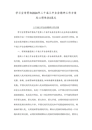 学习宣传贯彻2024年二十届三中全会精神工作方案及心得体会2篇文.docx