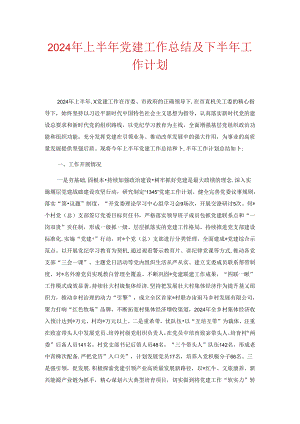 2024年上半年党建工作总结及下半年工作计划.docx