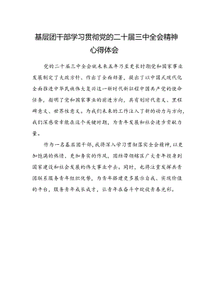 基层团干部学习贯彻党的二十届三中全会精神心得体会.docx