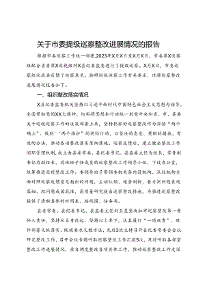 县纪委监委关于市委提级巡察整改进展情况的报告.docx