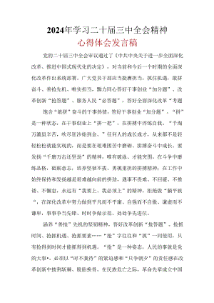 2024学习二十届三中全会精神心得体会可修改资料.docx