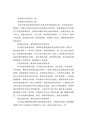 巡察整改中的亮点三篇.docx