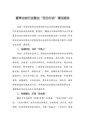 2024年公安开展夏季治安打击整治行动工作汇报6篇.docx