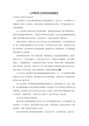 公司新员工的培训自我鉴定.docx