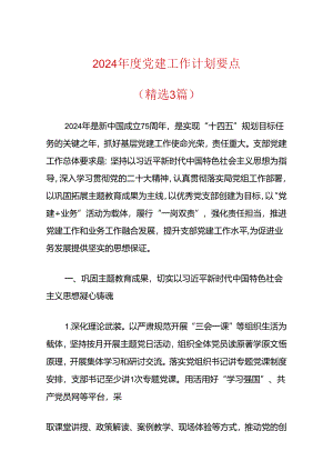 2024年度党建工作计划要点.docx
