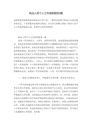执法人员个人工作述职报告3篇.docx