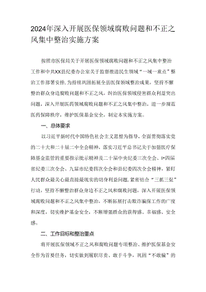 2024年深入开展医保领域腐败问题和不正之风集中整治实施方案.docx