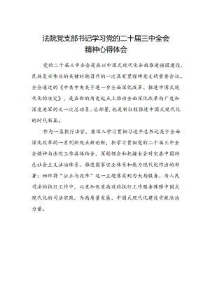 法院党支部书记学习党的二十届三中全会精神心得体会.docx