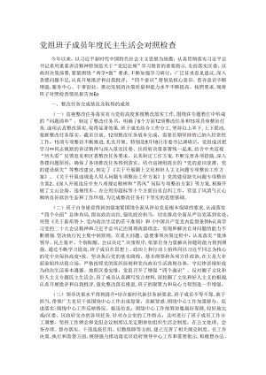 党组班子成员年度民主生活会对照检查.docx