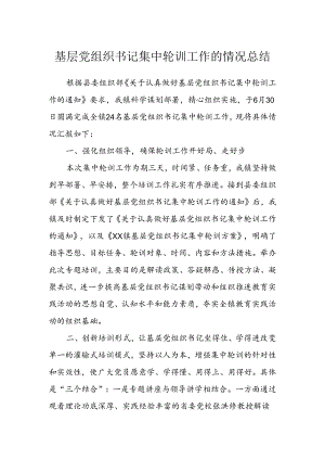 基层党组织书记集中轮训工作的情况总结.docx