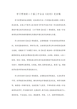 学习贯彻好二十届三中全会《决定》发言稿.docx