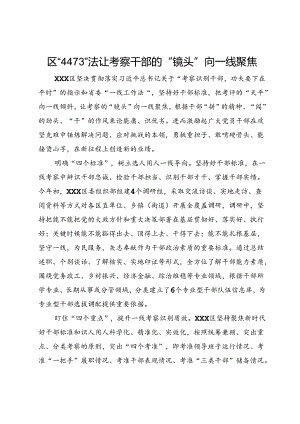 在干部考察工作经验分享会上的交流发言.docx