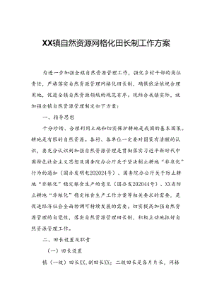 XX镇自然资源网格化田长制工作方案.docx