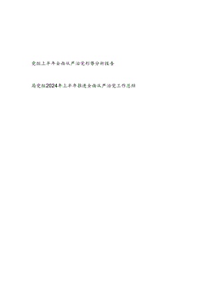 局党组2024年上半年全面从严治党形势分析报告和推进全面从严治党工作总结.docx