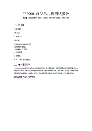 TS8900-M128单片机测试报告(广州大学).docx