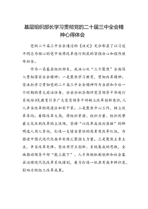 基层组织部长学习贯彻党的二十届三中全会精神心得体会.docx