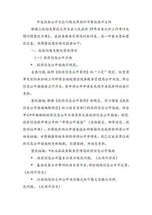 年度政务公开突出问题及薄弱环节整改提升总结.docx