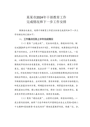某某市2024年干部教育工作完成情况和下一步工作安排.docx
