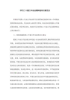 学习二十届三中全会精神宣传方案范文.docx