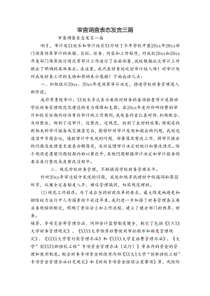 审查调查表态发言三篇.docx