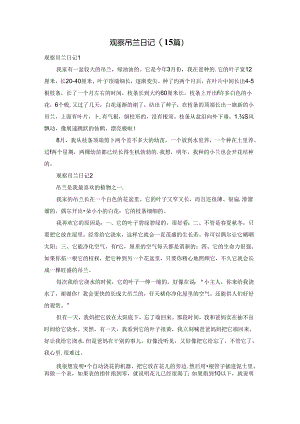 观察吊兰日记(15篇).docx