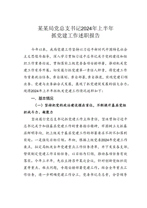 某某局党总支书记2024年上半年抓党建工作述职报告.docx