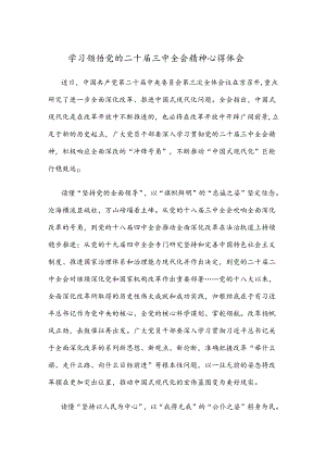 学习领悟党的二十届三中全会精神心得体会.docx