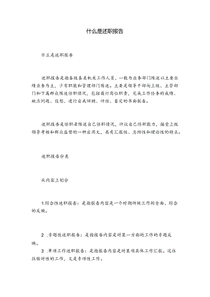 什么是述职报告.docx