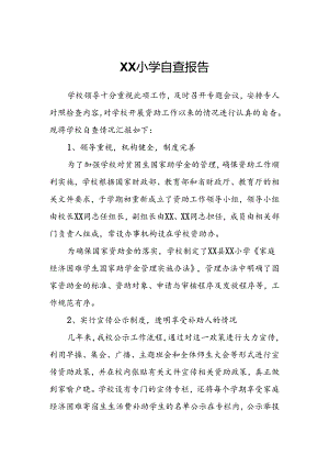 XX小学自查报告.docx