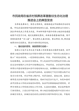 市民政局在省农村殡葬改革暨散坟生态化治理推进会上的典型发言.docx