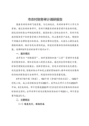 市农村财务审计调研报告.docx