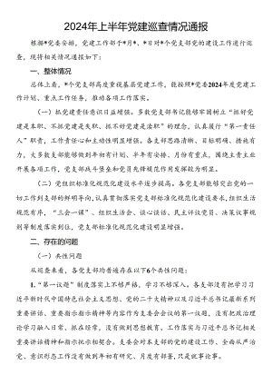 2024年上半年党建巡查情况通报.docx