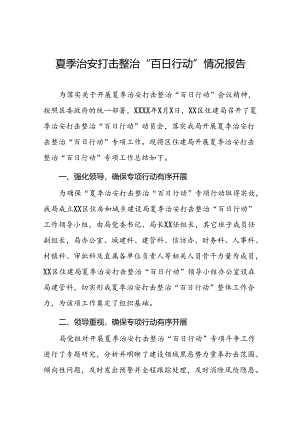 十二篇2024夏季治安打击整治“百日行动”工作总结.docx