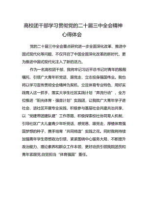 高校团干部学习贯彻党的二十届三中全会精神心得体会.docx