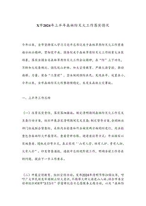 X市2024年上半年森林防灭火工作落实情况.docx